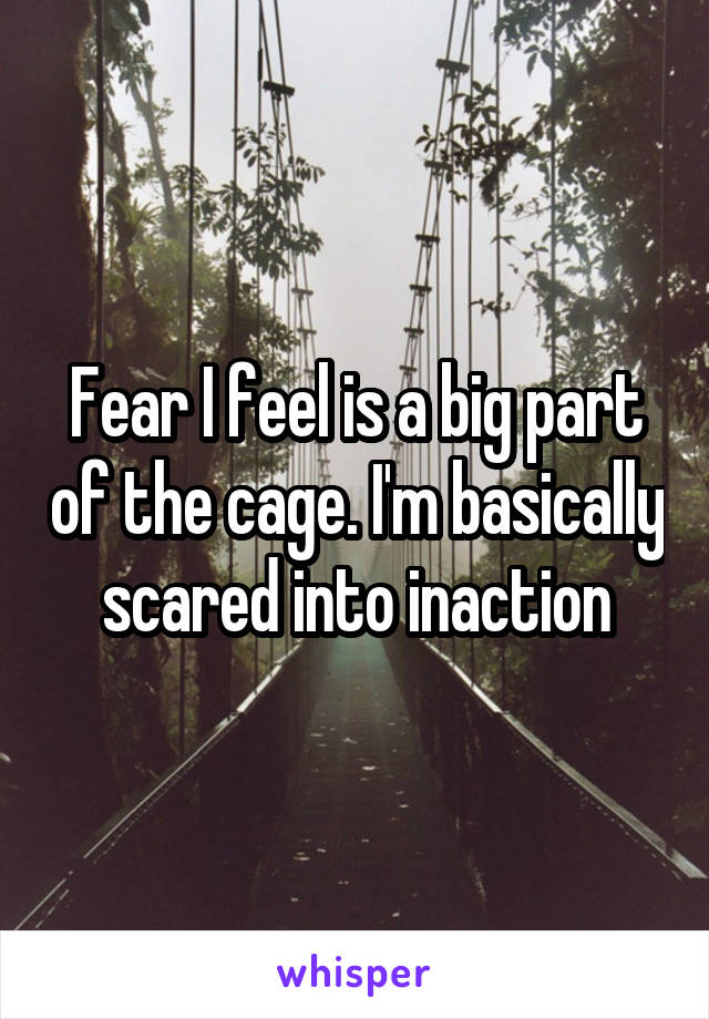 Fear I feel is a big part of the cage. I'm basically scared into inaction