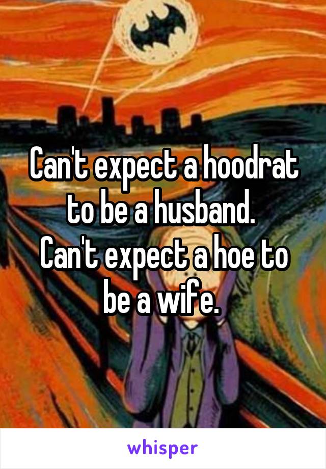 Can't expect a hoodrat to be a husband. 
Can't expect a hoe to be a wife. 