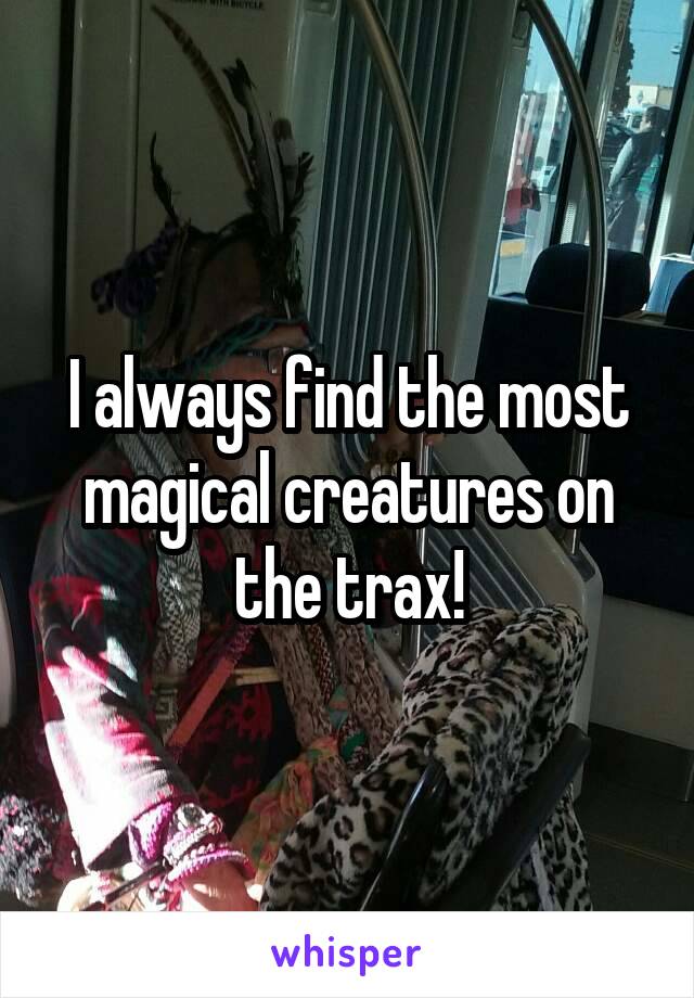 I always find the most magical creatures on the trax!