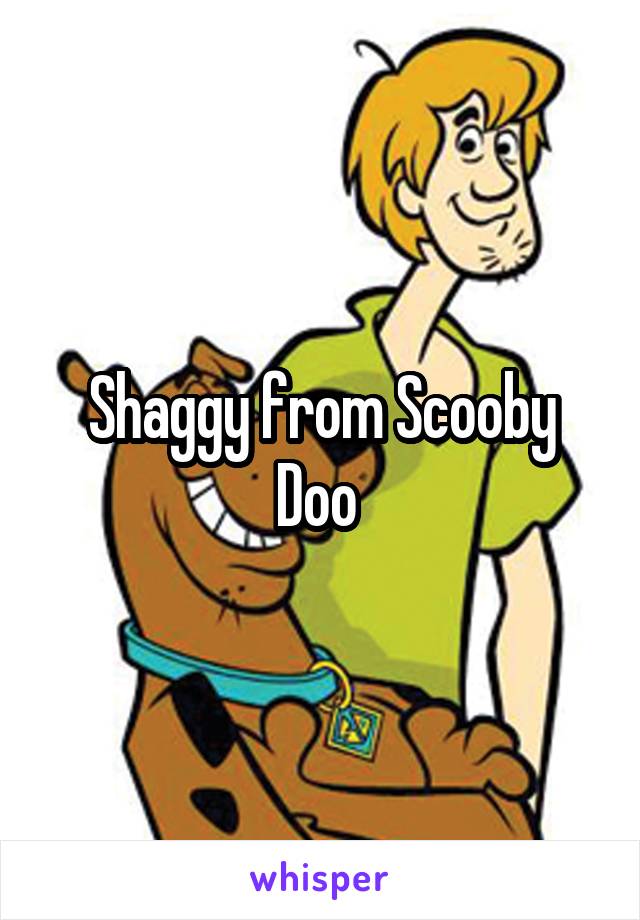 Shaggy from Scooby Doo 