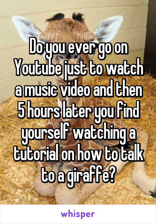 Do you ever go on Youtube just to watch a music video and then 5 hours later you find yourself watching a tutorial on how to talk to a giraffe?