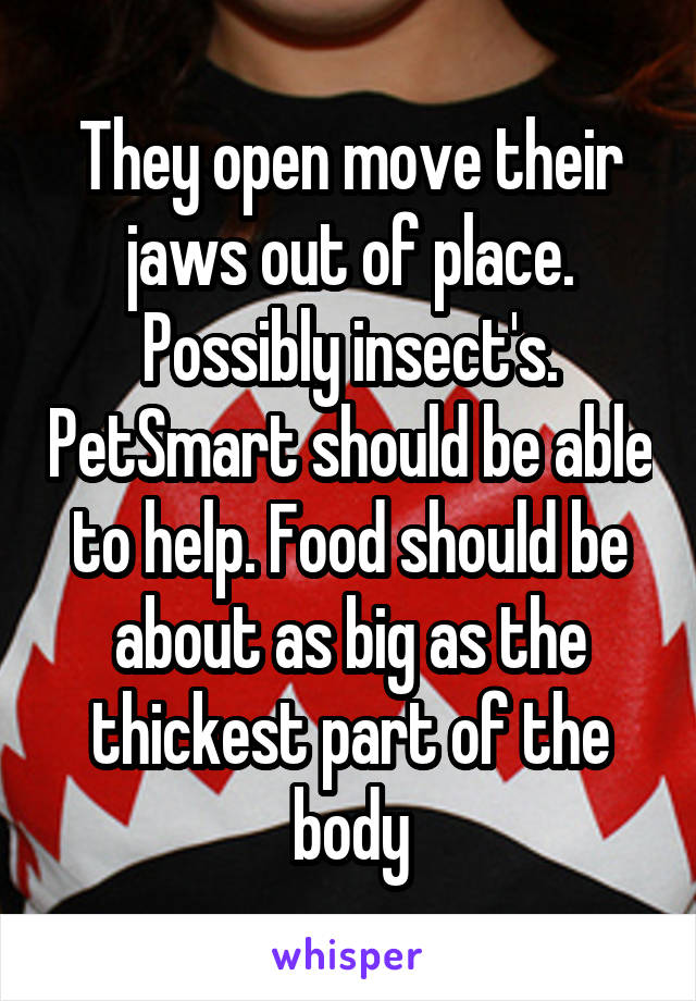 They open move their jaws out of place. Possibly insect's. PetSmart should be able to help. Food should be about as big as the thickest part of the body