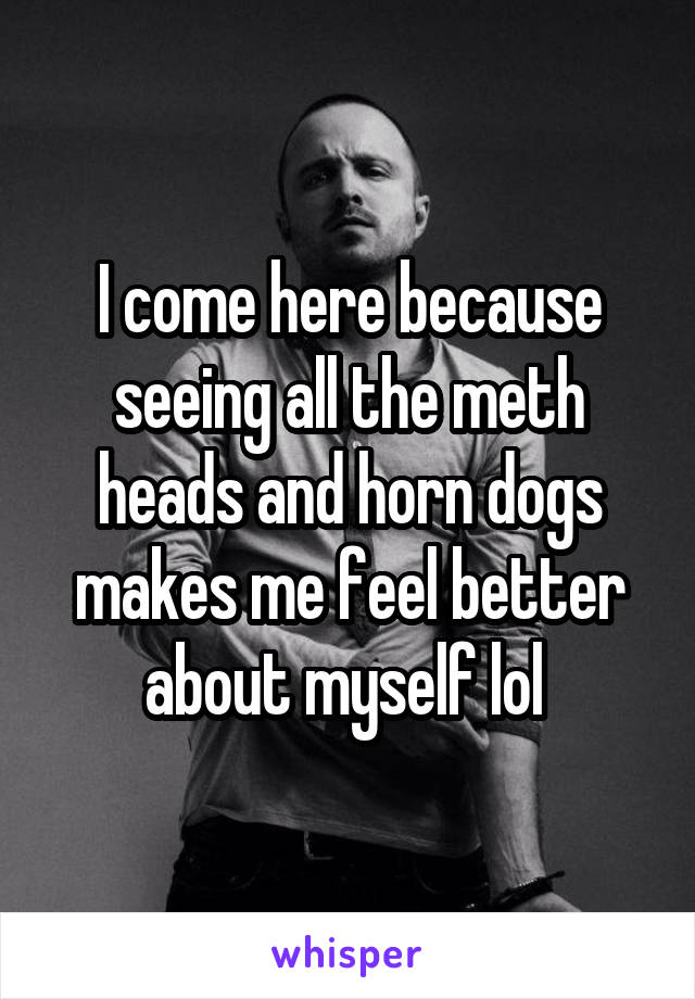 I come here because seeing all the meth heads and horn dogs makes me feel better about myself lol 