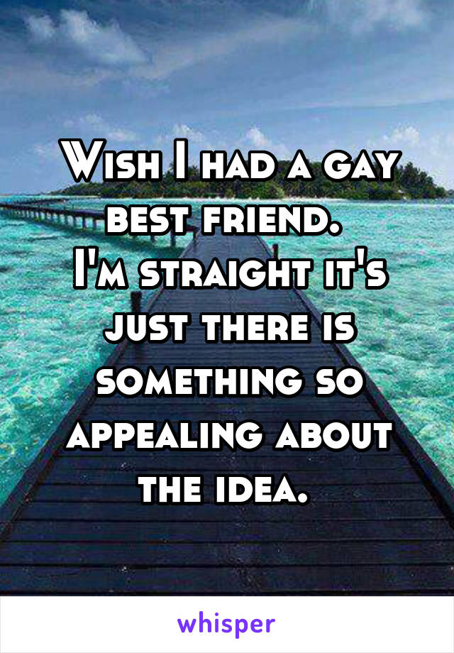 Wish I had a gay best friend. 
I'm straight it's just there is something so appealing about the idea. 