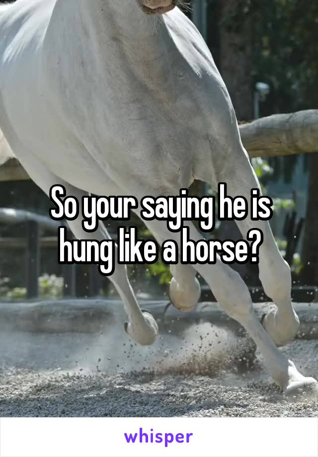 So your saying he is hung like a horse?