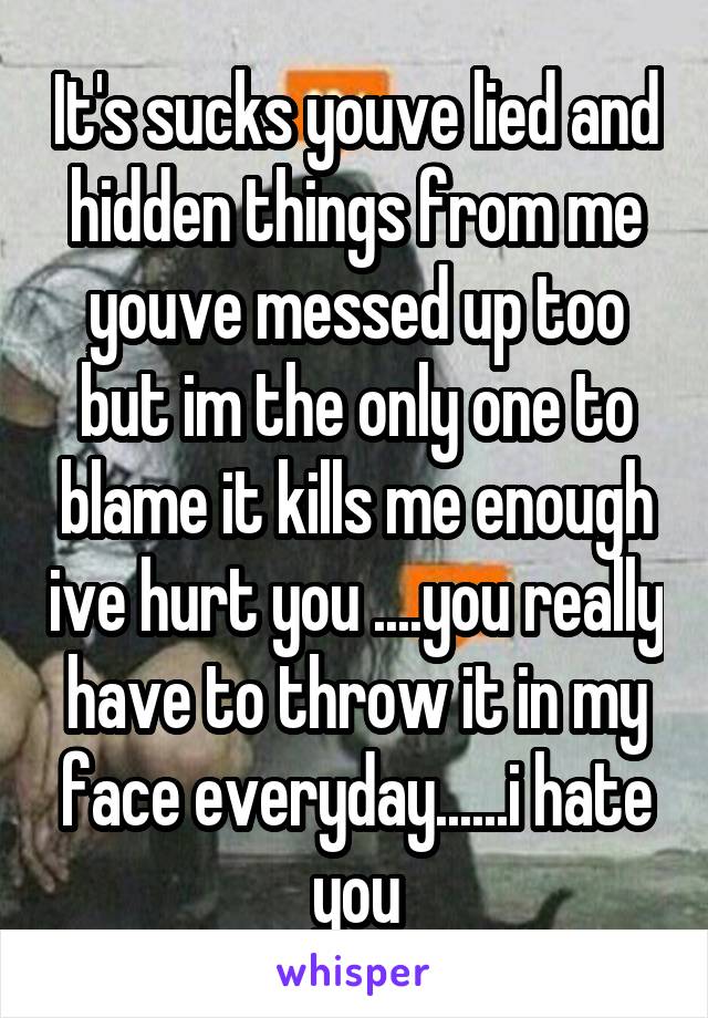 It's sucks youve lied and hidden things from me youve messed up too but im the only one to blame it kills me enough ive hurt you ....you really have to throw it in my face everyday......i hate you