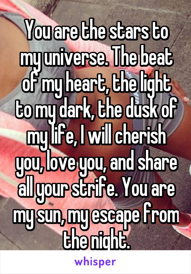 You are the stars to my universe. The beat of my heart, the light to my dark, the dusk of my life, I will cherish you, love you, and share all your strife. You are my sun, my escape from the night.