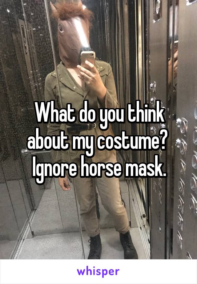 What do you think about my costume? 
Ignore horse mask.