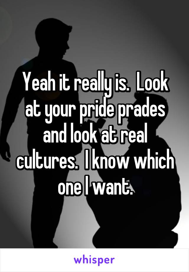 Yeah it really is.  Look at your pride prades and look at real cultures.  I know which one I want.