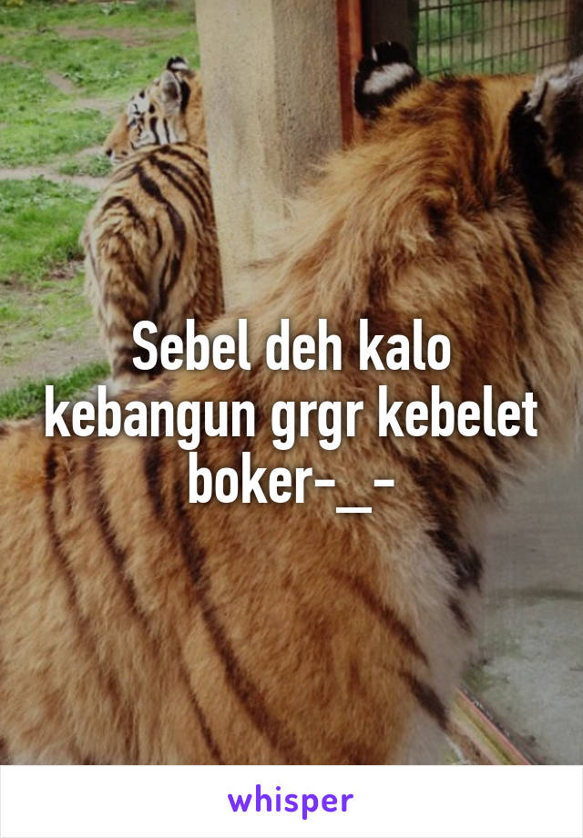 Sebel deh kalo kebangun grgr kebelet boker-_-