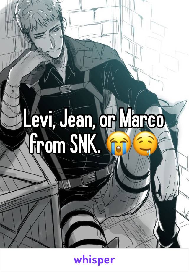 Levi, Jean, or Marco from SNK. 😭🤤