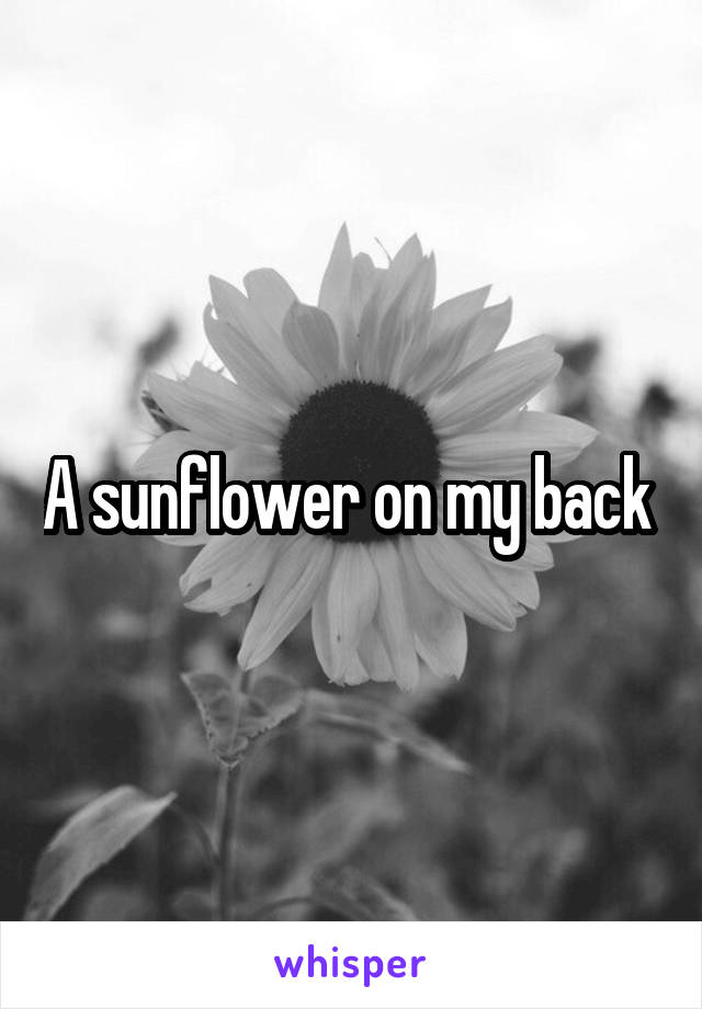 A sunflower on my back 