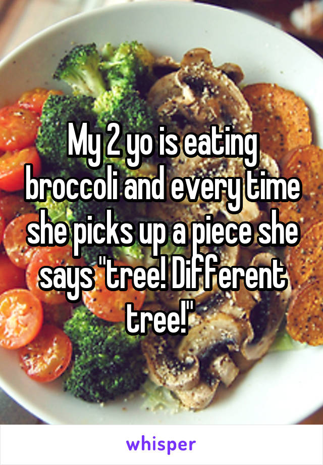 My 2 yo is eating broccoli and every time she picks up a piece she says "tree! Different tree!" 