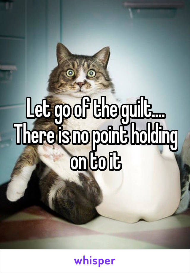 Let go of the guilt.... There is no point holding on to it