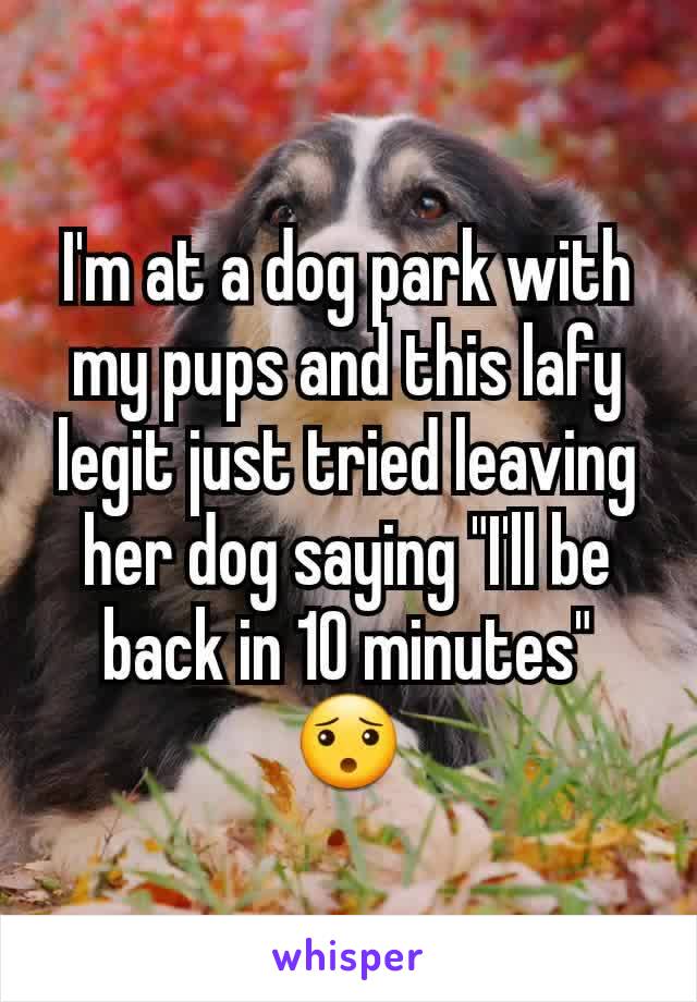 I'm at a dog park with my pups and this lafy legit just tried leaving her dog saying "I'll be back in 10 minutes" 😯