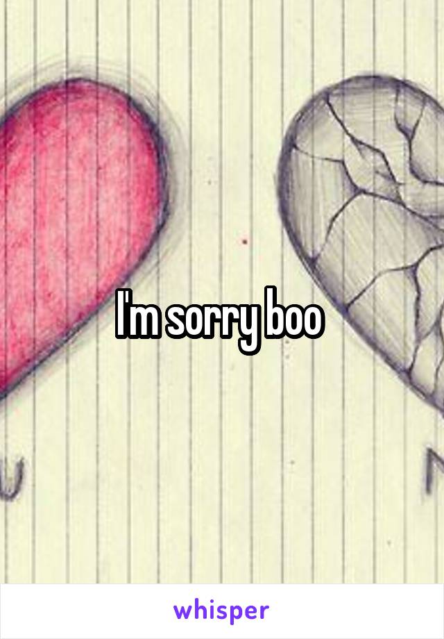 I'm sorry boo 