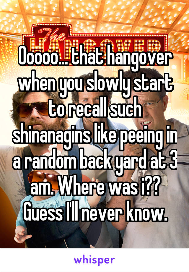 Ooooo... that hangover when you slowly start to recall such shinanagins like peeing in a random back yard at 3 am. Where was i?? Guess I'll never know.