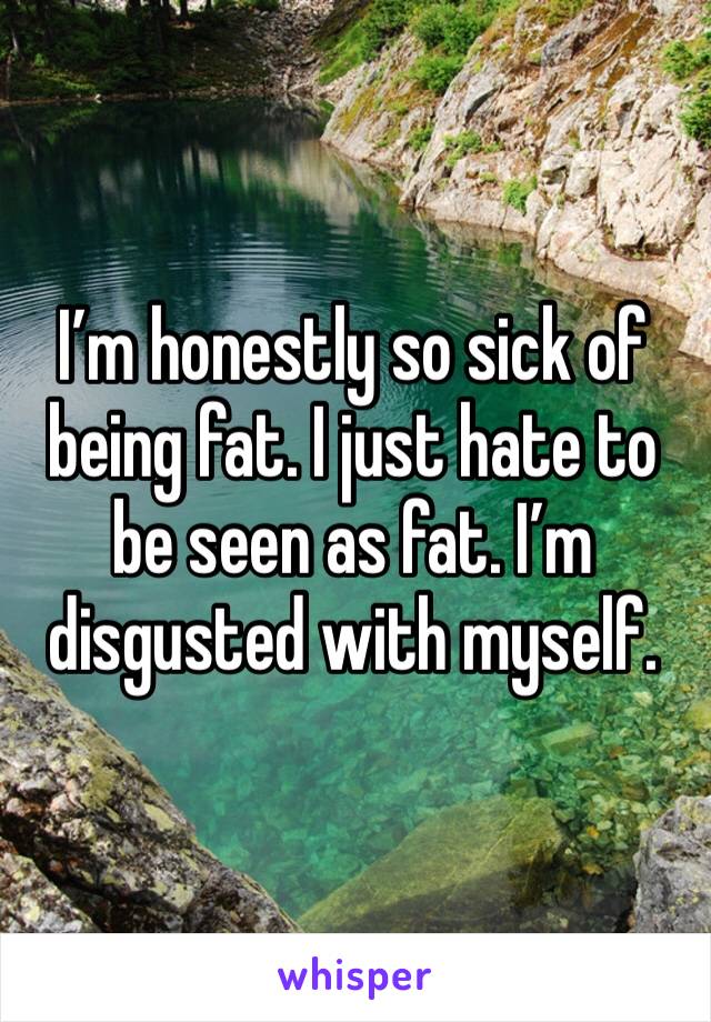 I’m honestly so sick of being fat. I just hate to be seen as fat. I’m disgusted with myself. 