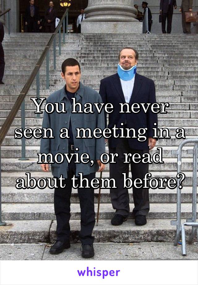 You have never seen a meeting in a movie, or read about them before?