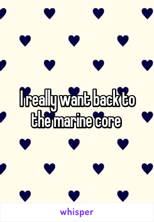 I really want back to the marine core 