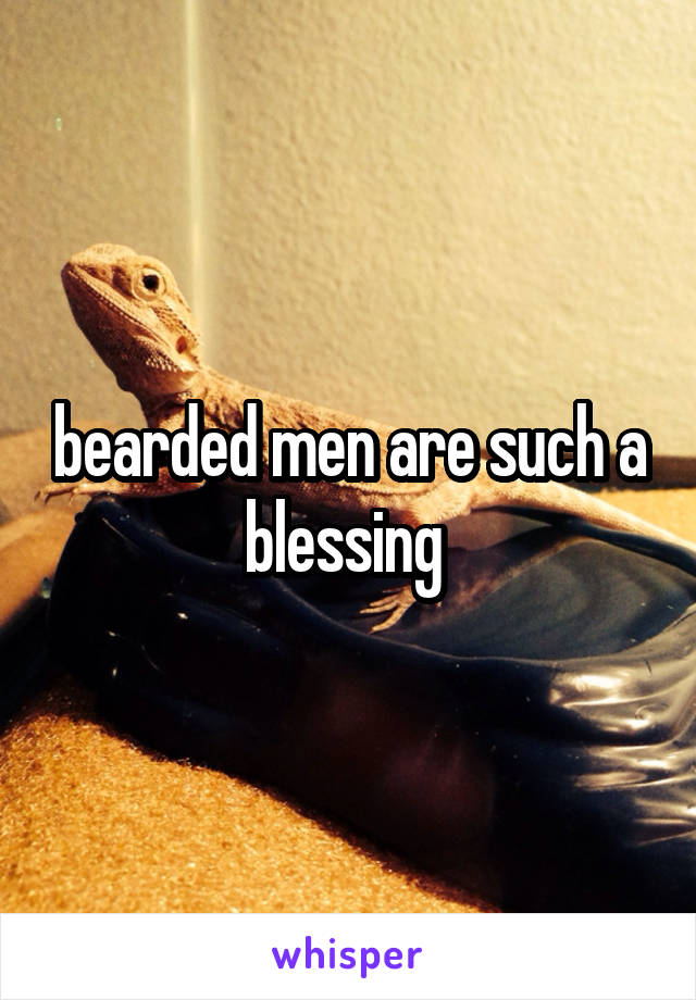 bearded men are such a blessing 