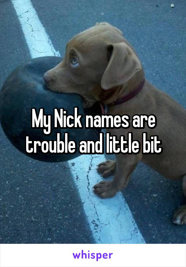 My Nick names are trouble and little bit