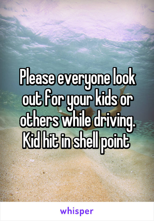 Please everyone look out for your kids or others while driving. Kid hit in shell point 