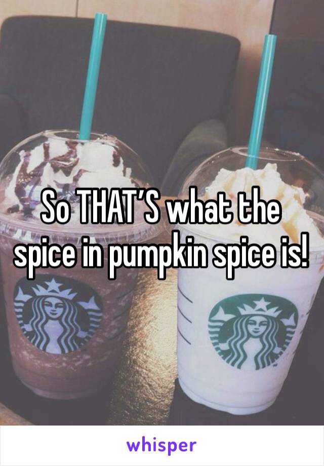 So THAT’S what the spice in pumpkin spice is!