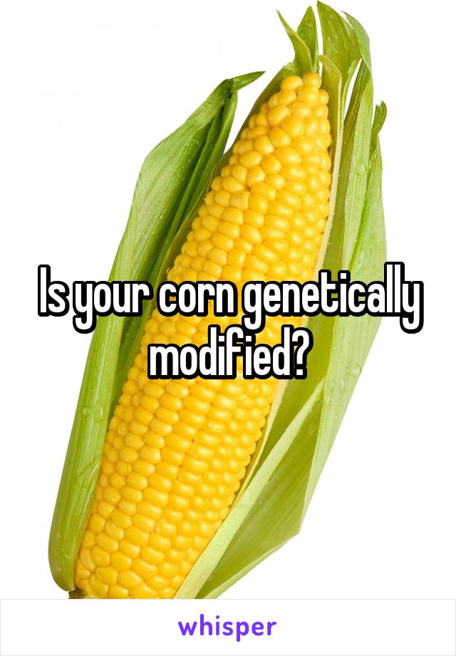 Is your corn genetically modified?