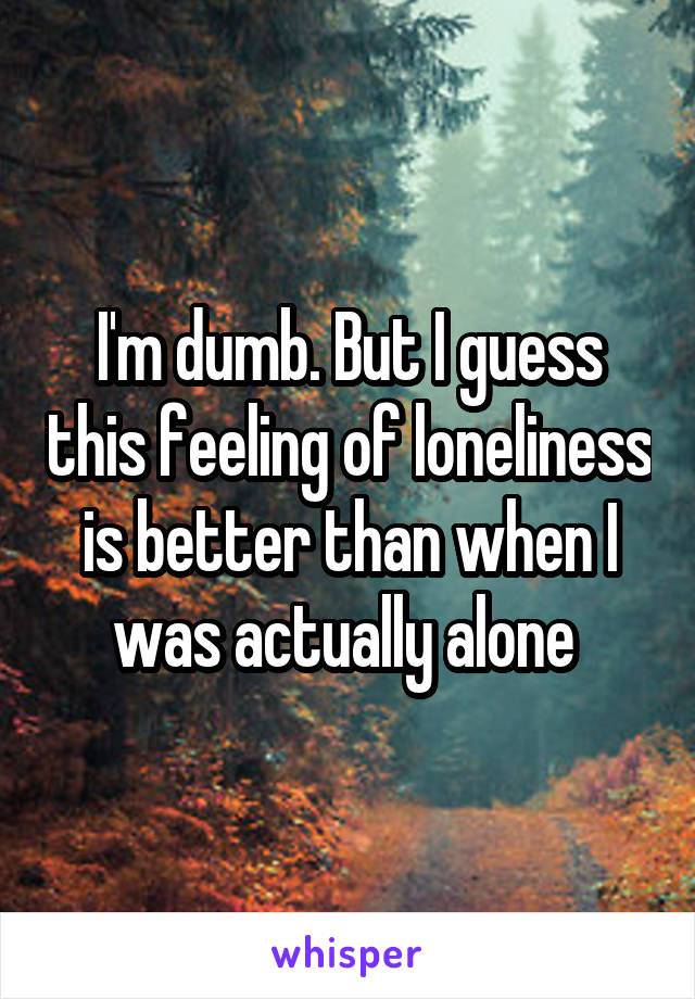 I'm dumb. But I guess this feeling of loneliness is better than when I was actually alone 