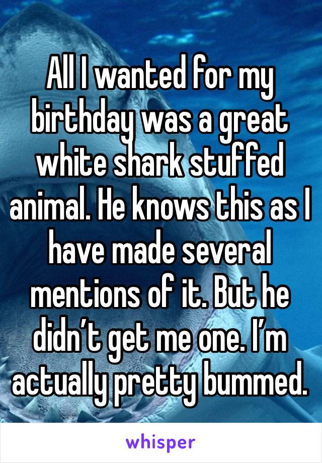 All I wanted for my birthday was a great white shark stuffed animal. He knows this as I have made several mentions of it. But he didn’t get me one. I’m actually pretty bummed.