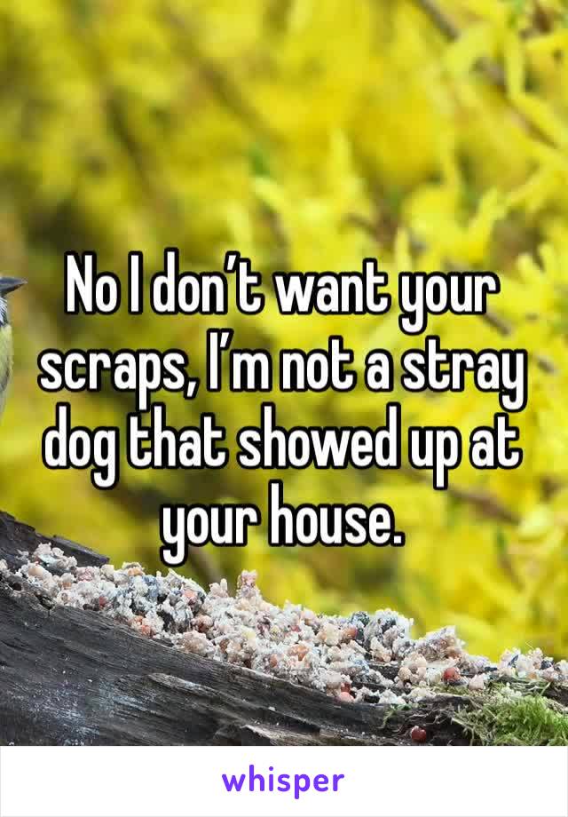 No I don’t want your scraps, I’m not a stray dog that showed up at your house.