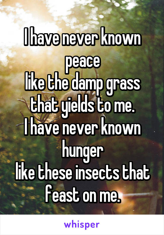 I have never known peace
like the damp grass that yields to me.
I have never known hunger
like these insects that feast on me.