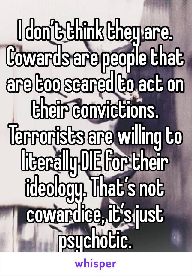 I don’t think they are. Cowards are people that are too scared to act on their convictions. Terrorists are willing to literally DIE for their ideology. That’s not cowardice, it’s just psychotic.