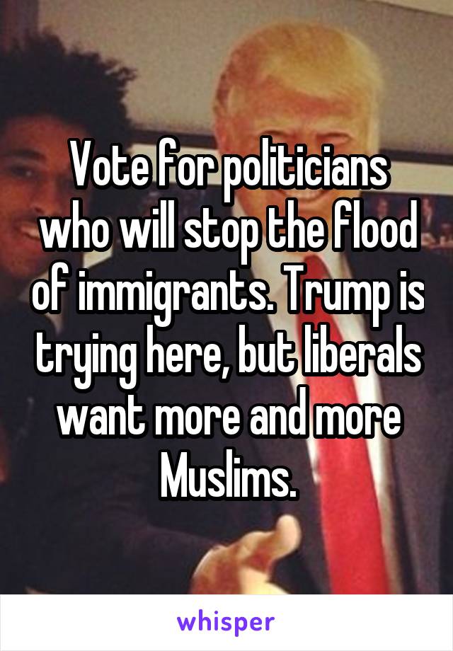 Vote for politicians who will stop the flood of immigrants. Trump is trying here, but liberals want more and more Muslims.