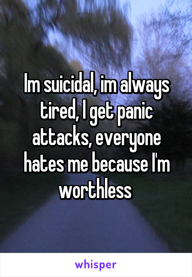Im suicidal, im always tired, I get panic attacks, everyone hates me because I'm worthless 