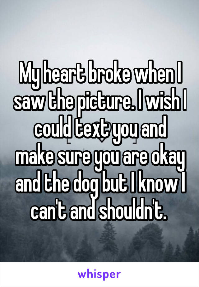 My heart broke when I saw the picture. I wish I could text you and make sure you are okay and the dog but I know I can't and shouldn't. 