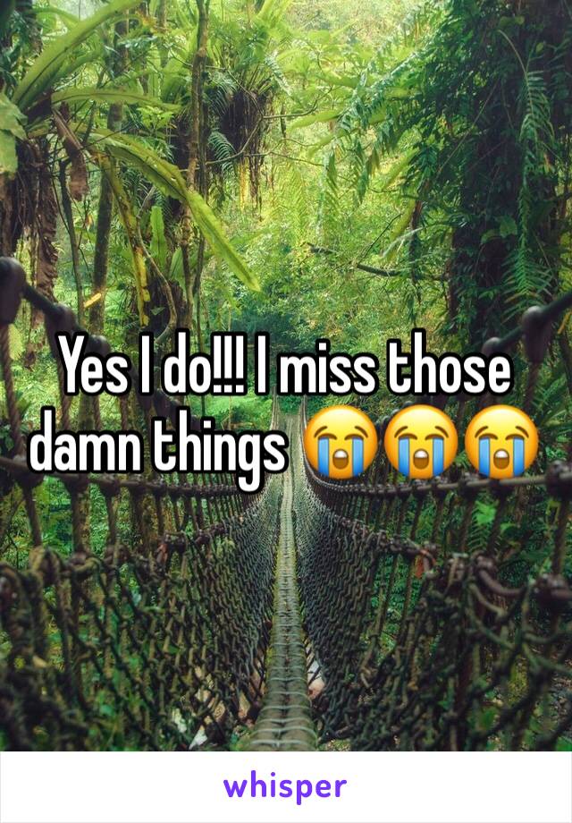 Yes I do!!! I miss those damn things 😭😭😭