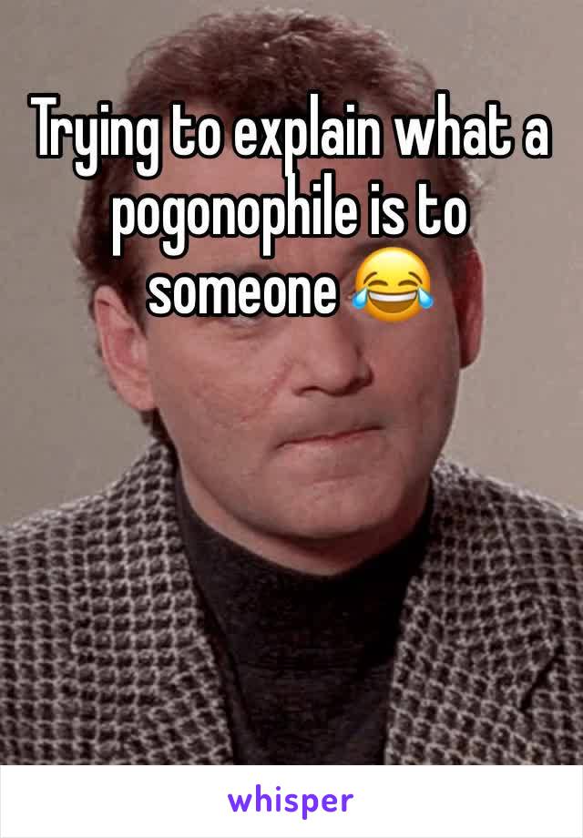 Trying to explain what a pogonophile is to someone 😂