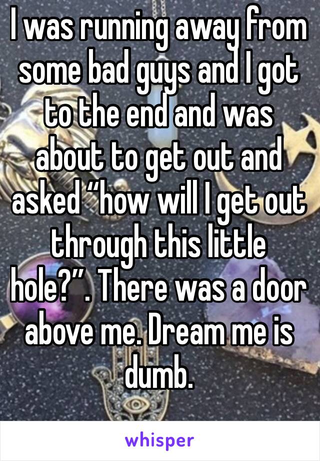 I was running away from some bad guys and I got to the end and was about to get out and asked “how will I get out through this little hole?”. There was a door above me. Dream me is dumb.