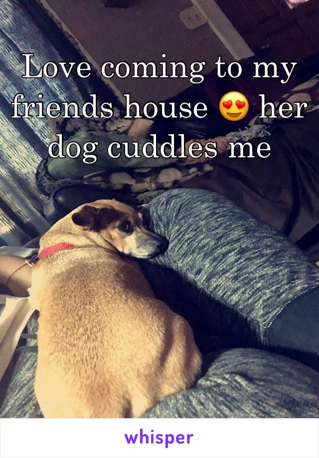 Love coming to my friends house 😍 her dog cuddles me 
