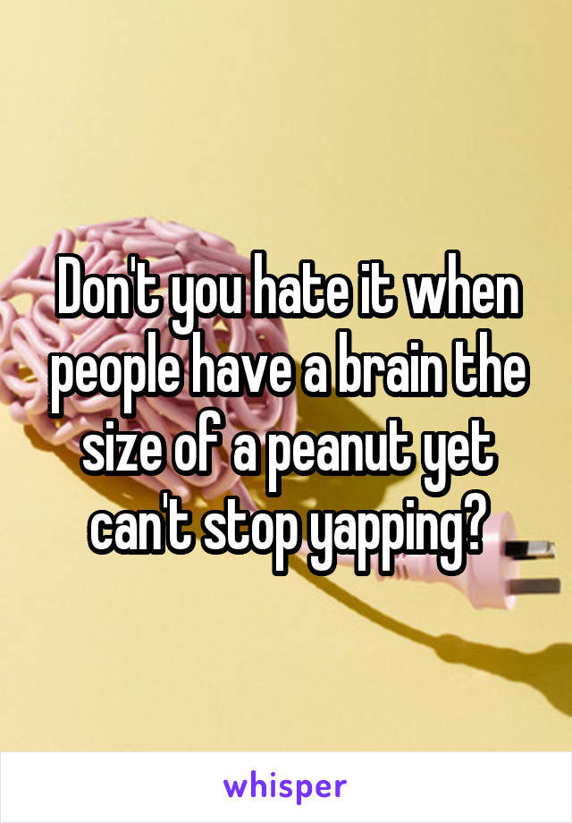 Don't you hate it when people have a brain the size of a peanut yet can't stop yapping?