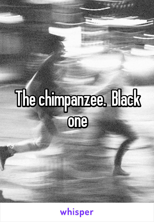 The chimpanzee.  Black one