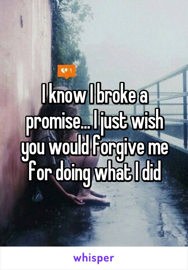 I know I broke a promise... I just wish you would forgive me for doing what I did