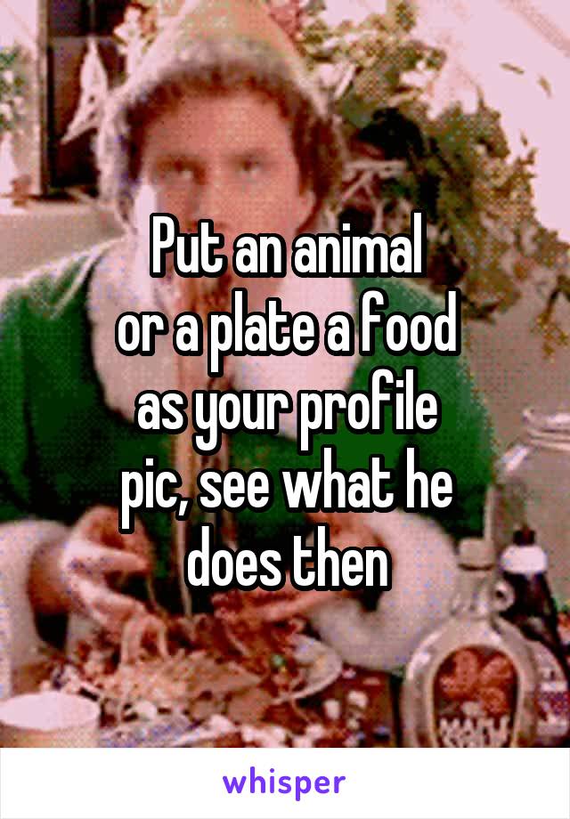 Put an animal
or a plate a food
as your profile
pic, see what he
does then