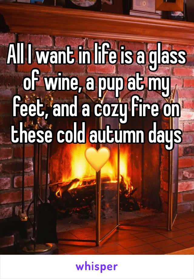 All I want in life is a glass of wine, a pup at my feet, and a cozy fire on these cold autumn days 
💛
