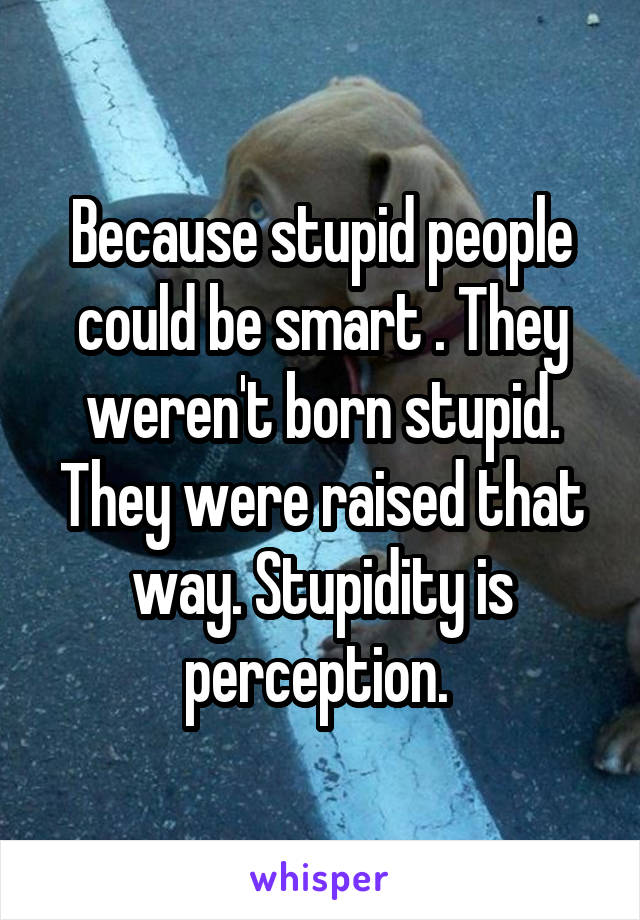 Because stupid people could be smart . They weren't born stupid. They were raised that way. Stupidity is perception. 