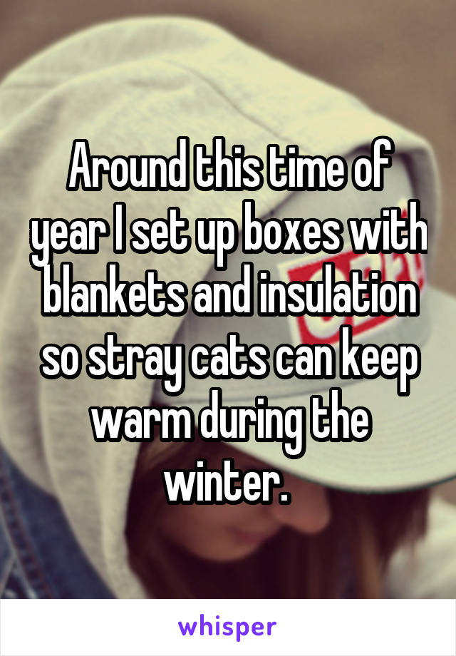 Around this time of year I set up boxes with blankets and insulation so stray cats can keep warm during the winter. 