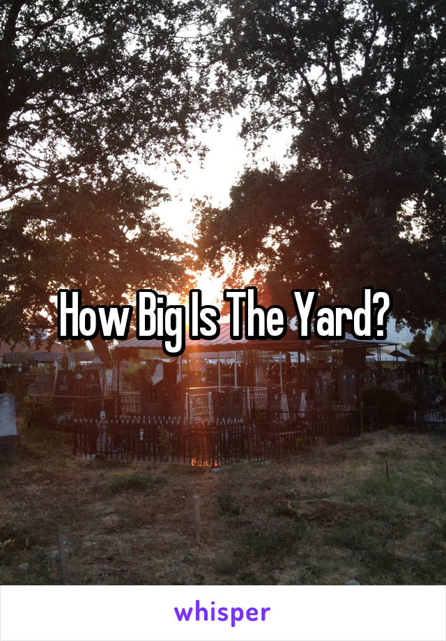 How Big Is The Yard?