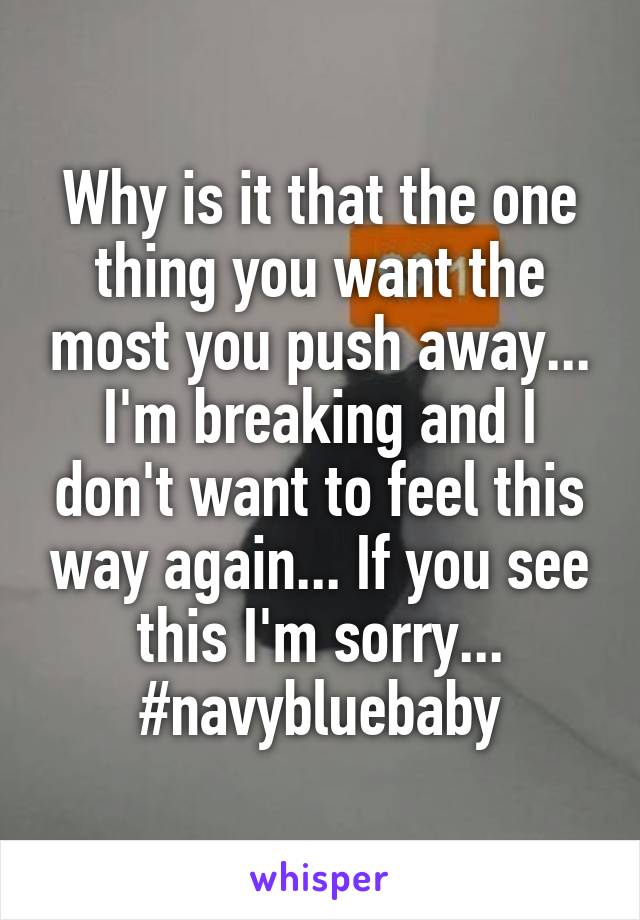 Why is it that the one thing you want the most you push away... I'm breaking and I don't want to feel this way again... If you see this I'm sorry...
#navybluebaby